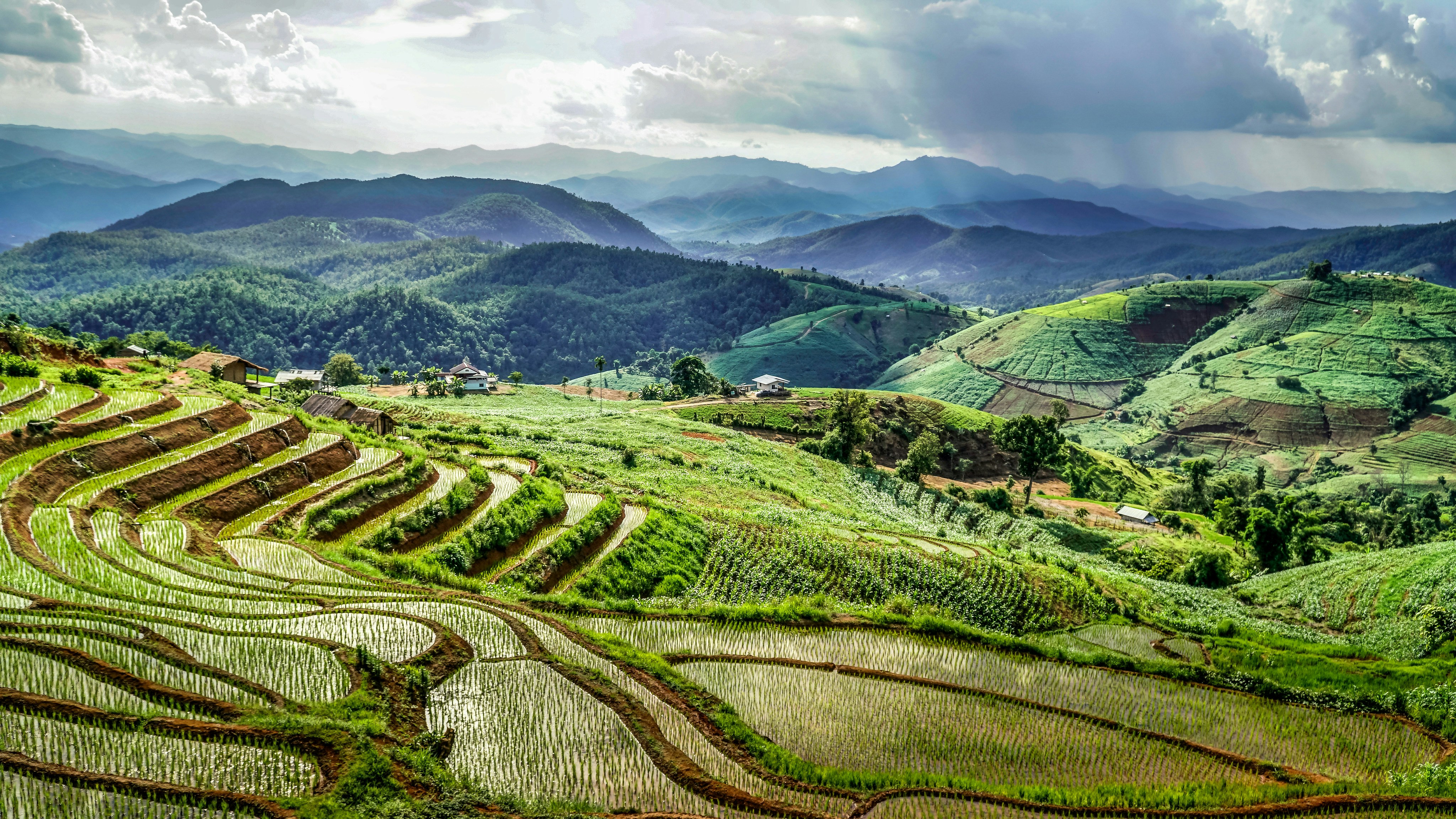 Terraced rice fields curving across a hillside in the northern highlands, planted paddies flooded and reflecting, forested ridges receding into haze beyond.