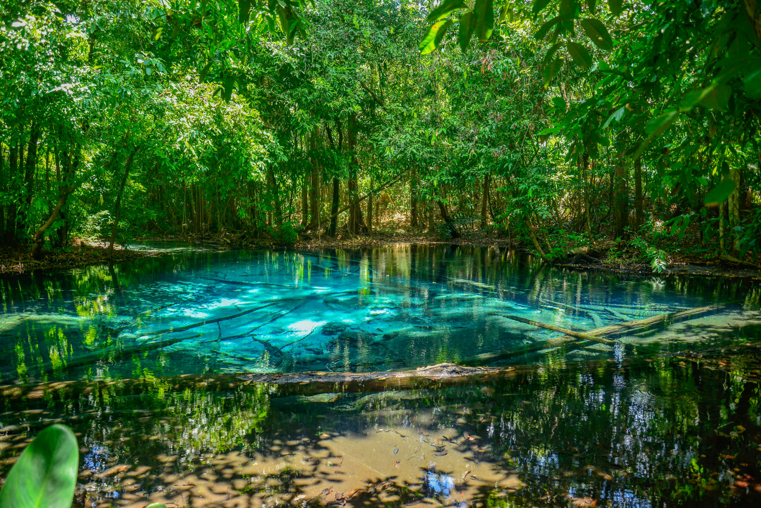 Emerald Pool & Hot Springs