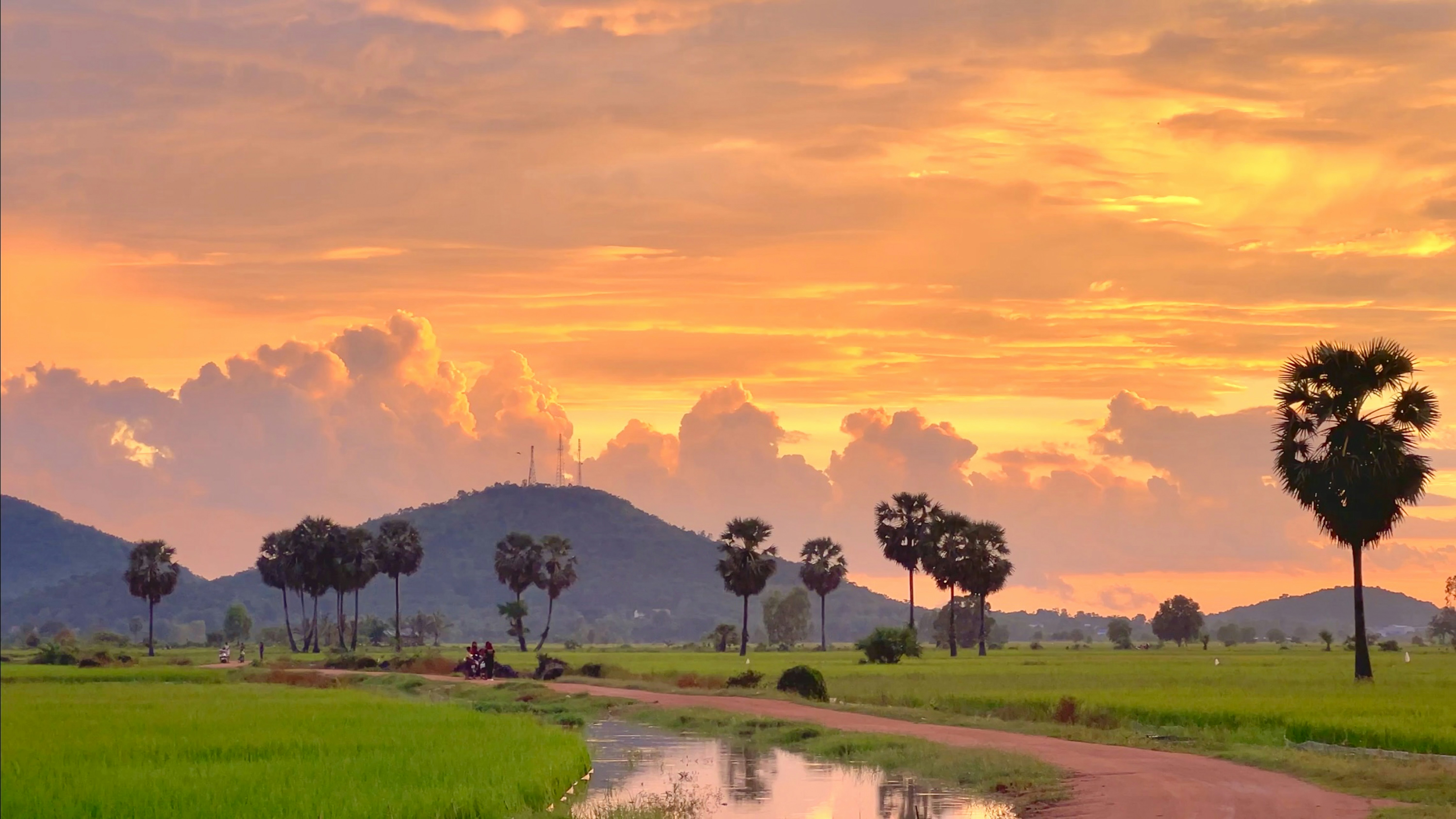 Sugar palms silhouetted against an orange sunset sky over flat green Isan countryside, a dirt track and a canal running through rice fields in the foreground.