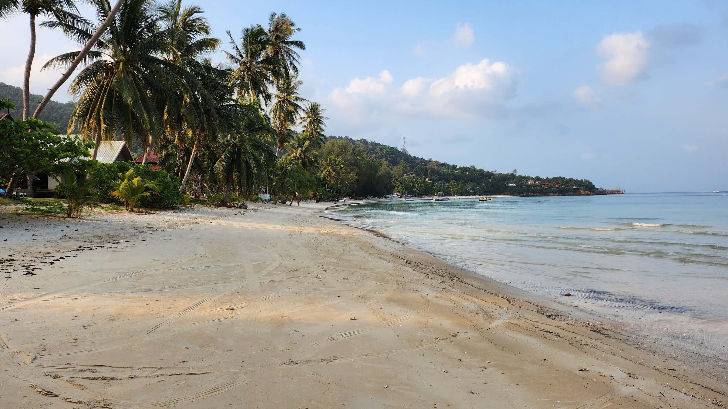 The long sweep of Haad Yao at low tide, palms along the shore, Koh Phangan