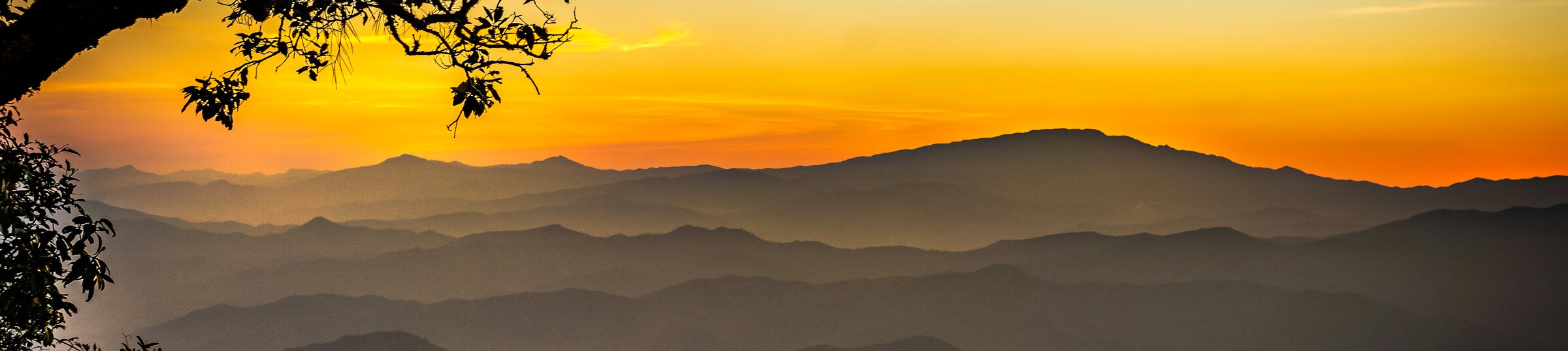 Terraced rice fields at dawn, mist settled over the surrounding hills