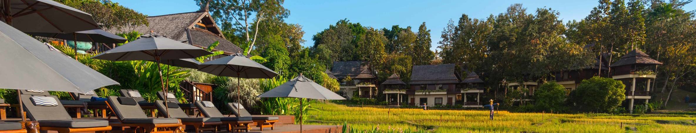 A resort terrace beside rice fields, Chiang Mai