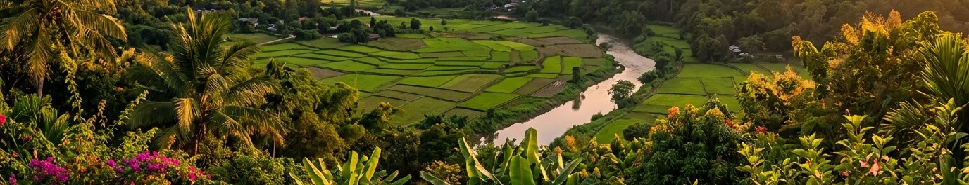 A river winding through rice fields, Chiang Rai