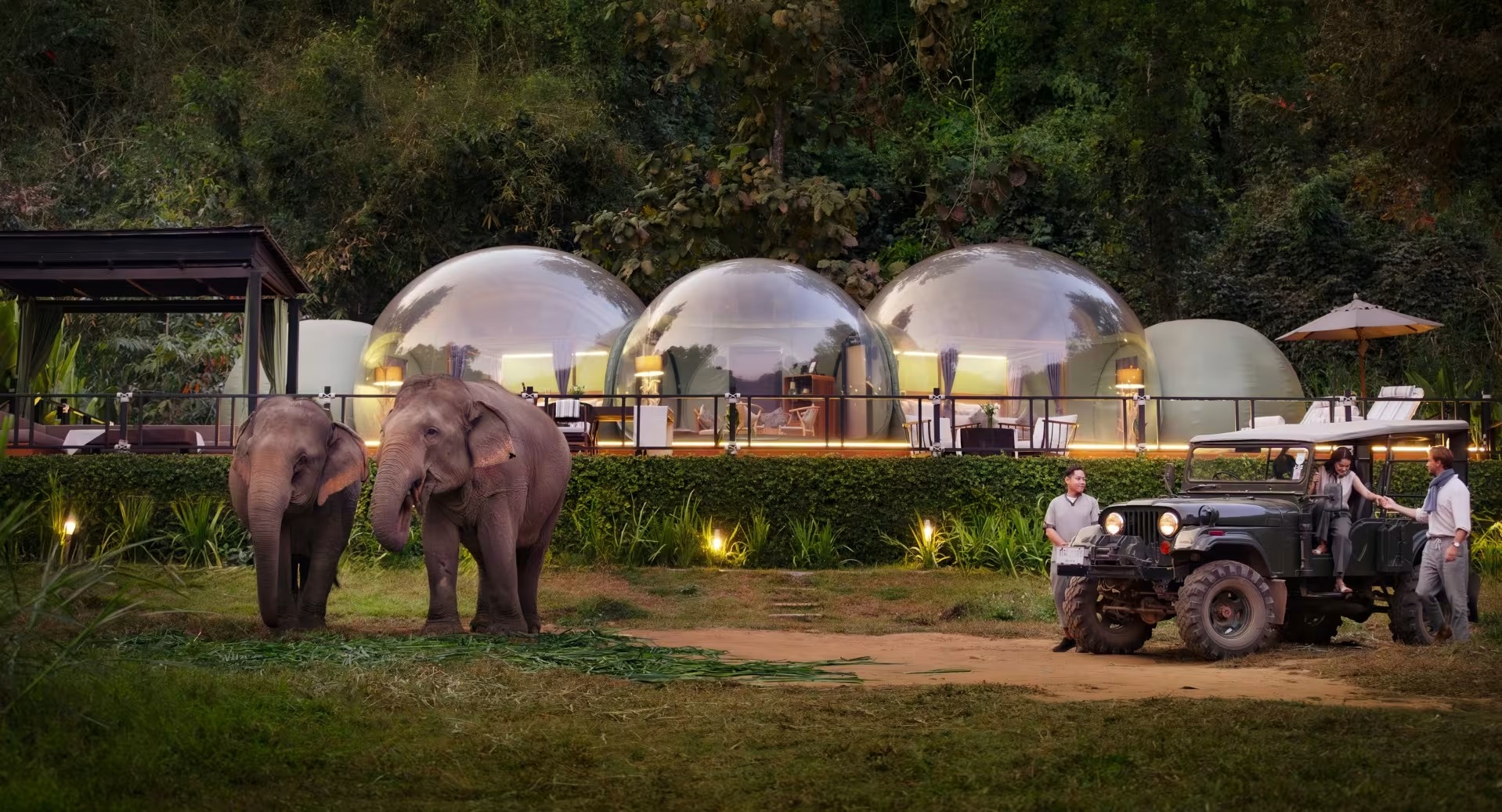 Transparent dome lodges in the jungle with elephants on the lawn, Golden Triangle