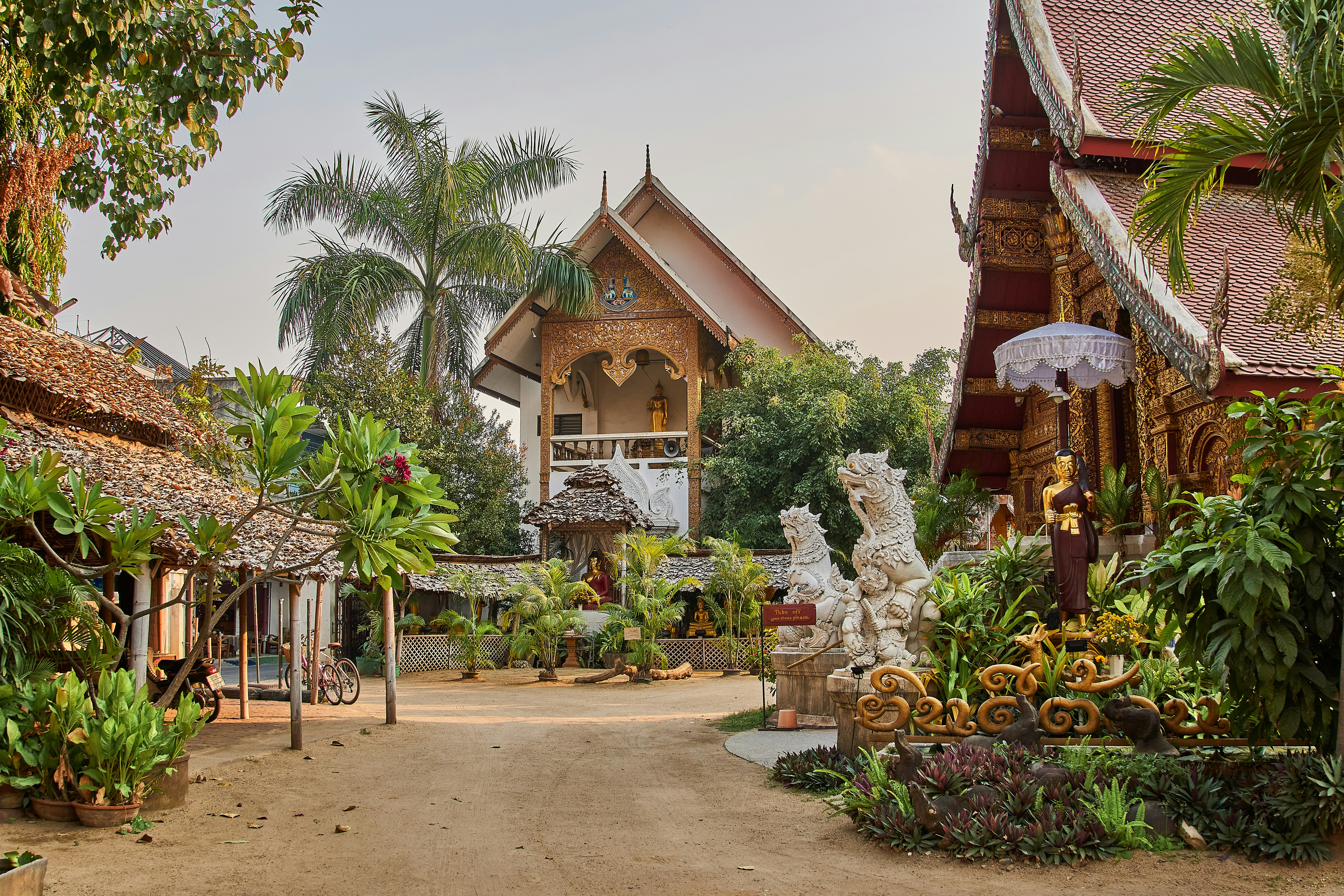 A Lanna temple courtyard in Chiang Mai, lion guardian statues and a gilded chedi behind