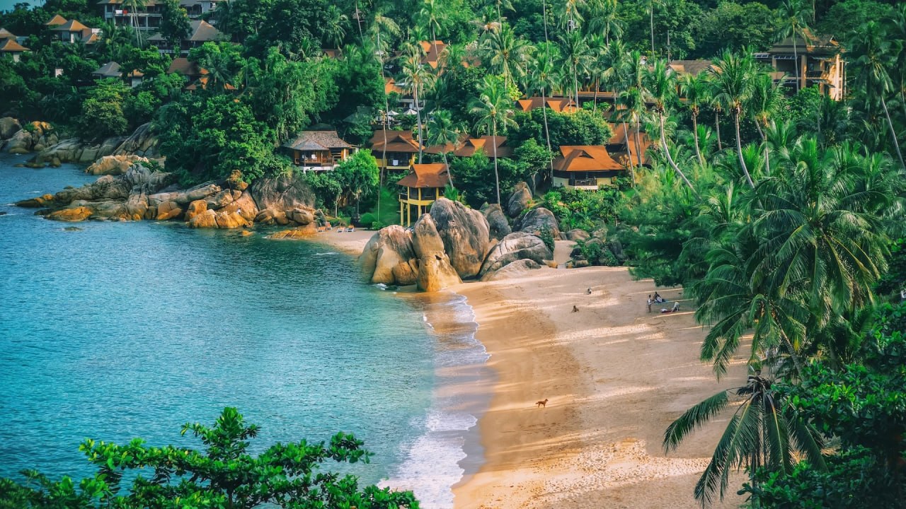 A sheltered Koh Samui cove with villas set among palms above the sand